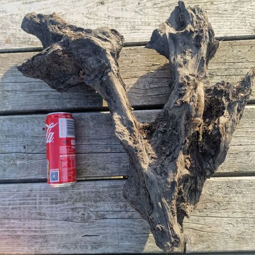 bog oak