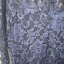 Dress Image 2
