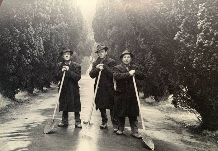 Dublin A Portrait Evelyn Hofer  VS Pritchett