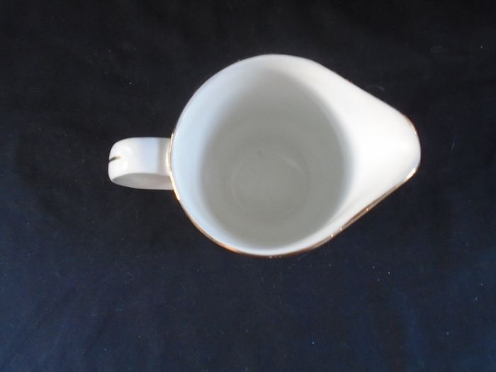 20 piece Arklow Pottery Tea set