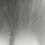 table top Image 6