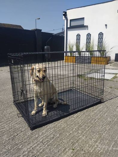 Dog cage