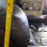 Couch Image 4