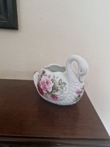 leonardo swan