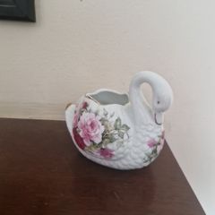 leonardo swan