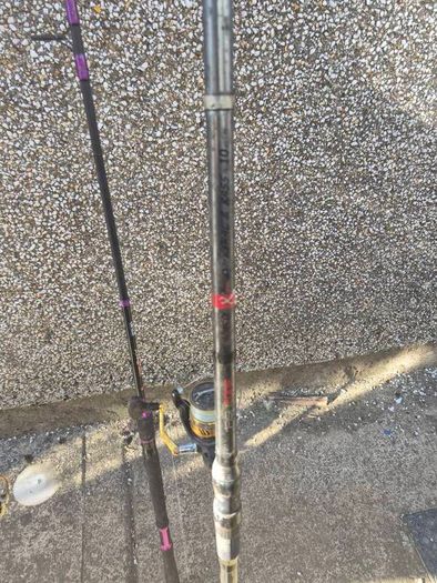 Selection of fishing rods