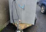 dog trailer/ tool trailer