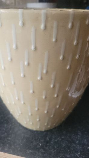 Large Ceramic Plant Pot