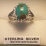 Sierra Nevada Oval Turquoise Halo Cluster Ring Bargain Price Image 8