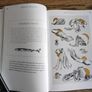Amazing Octopus: Creature From an Unknown World  by Michael Stavaric, Age 9+ Image 5