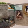 My First Picture Encyclopedia Hardback book Image 10