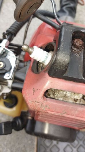 petrol strimmer