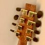 Carvalho  Bouzouki +soft Case. Image 8