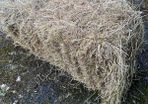 Hay for sale