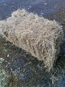 Hay for sale