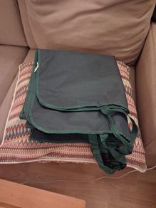 Dog's back seat cover