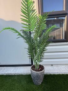 artificial plant