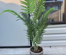 artificial plant