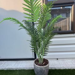 artificial plant