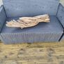 Driftwood Image 3