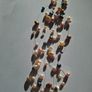 Jersey freshwater Multicoloured pearls Image 8