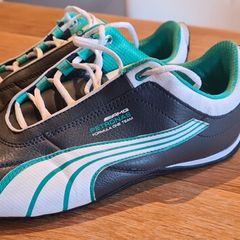 puma