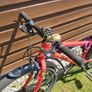 Frog bike 62 Image 5