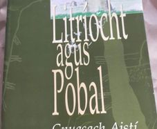 Litriocht Agus Pobal (Irish Edition) Gearoid Denvir Irish Language Book Gaeilge Gaelic