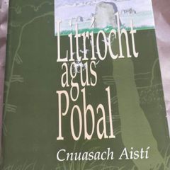 Litriocht Agus Pobal (Irish Edition) Gearoid Denvir Irish Language Book Gaeilge Gaelic