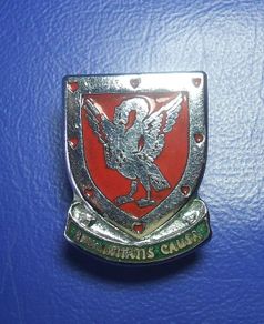 Western Province Blood Transfusion Service (WPBTS, South Africa) - blood donor's badge (c.1960)