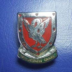 Western Province Blood Transfusion Service (WPBTS, South Africa) - blood donor's badge (c.1960)