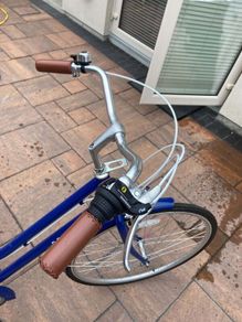 REID Ladies Classic Vintage with rear child seat
