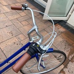 REID Ladies Classic Vintage with rear child seat