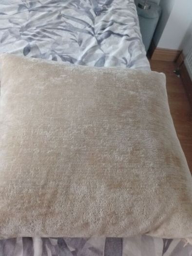Paul Costello Cushions for 50 for both