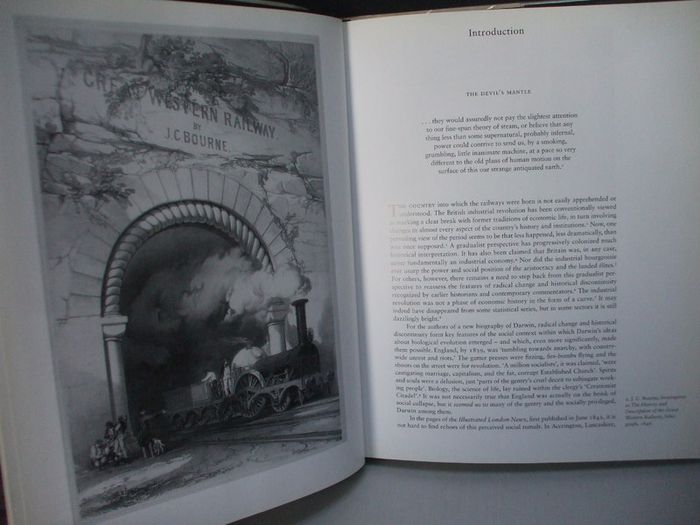 SALE!  RAILWAYS and the Victorian Imagination by Michael Freeman