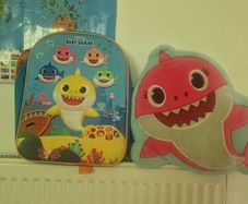 backpack and pillow