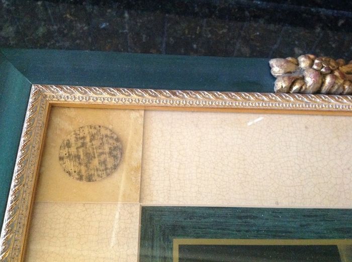 Framed Floral Pictures
