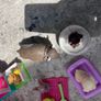 Barbie pet themed collection Image 7