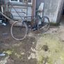 Gents raleigh bike Image 3