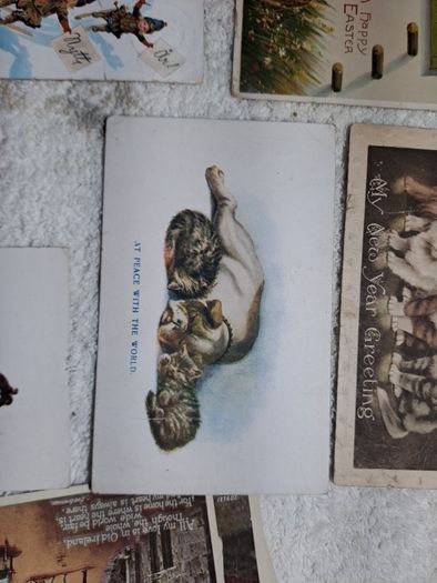 Historic Gore Booth postcards.