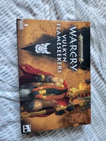 Games Workshop Warhammer Warcry Vulkyn Flameseekers