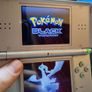 Pokemon Nintendo Ds Image 5
