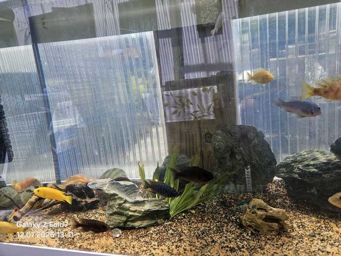 Aquarium juwel 180
