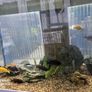 Aquarium juwel 180 Image 2