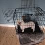 Dog crate Image 3