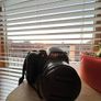 Nikon D5000 DSLR + Fujifilm FinePix 30x Zoom Camera Image 2