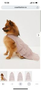 Dog dress and pearl lead for wedding