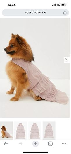 Dog dress and pearl lead for wedding