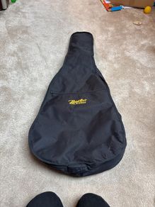 Boston acoustic guitar case