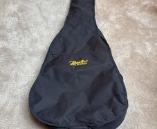 Boston acoustic guitar case